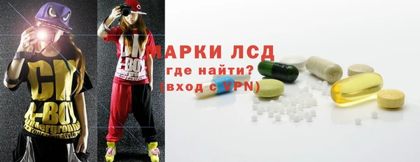 стаф Аркадак