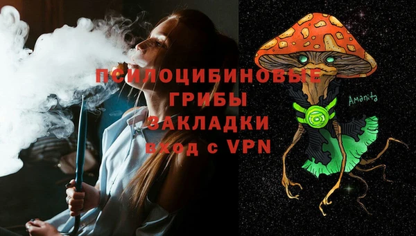 Альфа ПВП Армянск