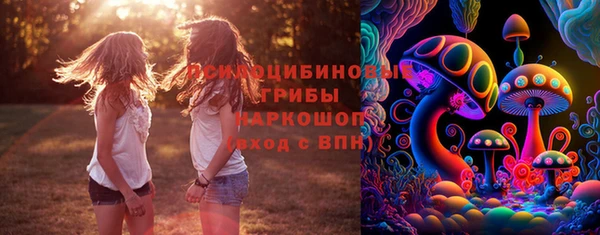 стаф Аркадак