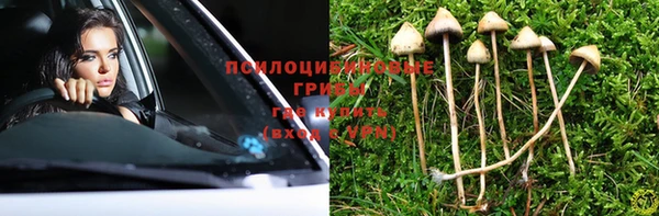 a pvp Арсеньев