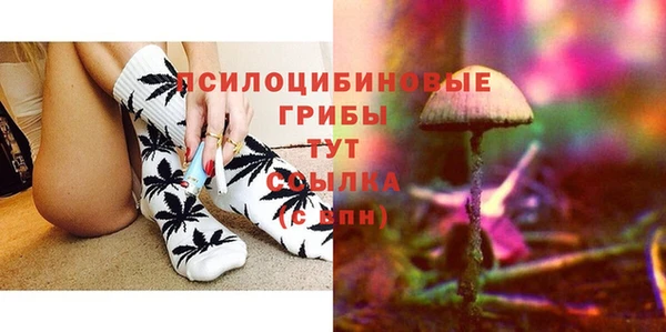 стаф Аркадак