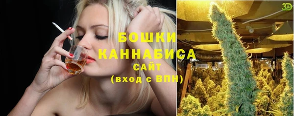 стаф Аркадак